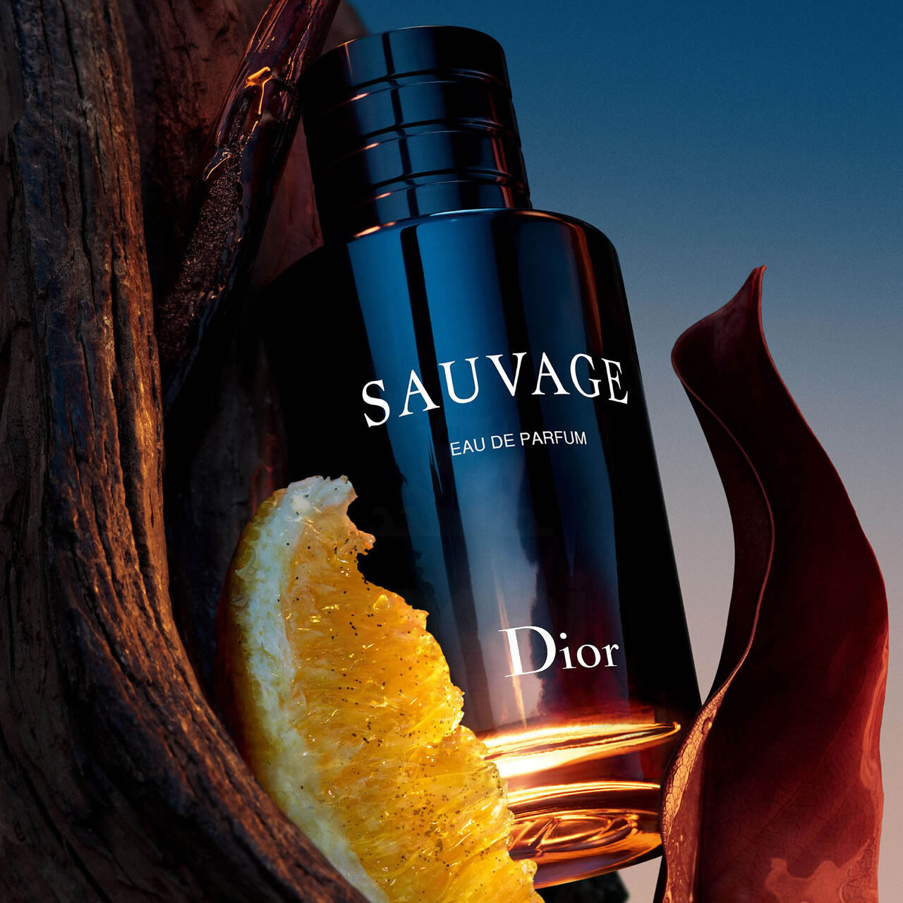 Sauvage — Eau de Parfum (EDP) 60 ml